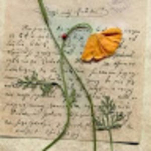 Meet your Posher, Candace